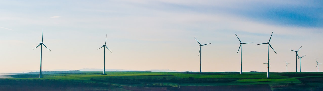 Bellawatt banner background