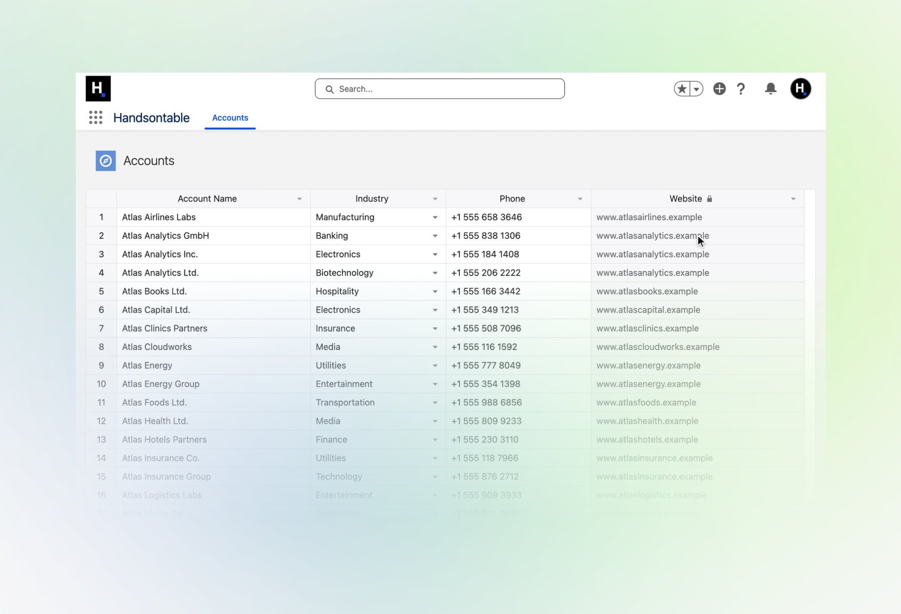 The Accounts tab of a Salesforce app showing the grid, with the Website column locked