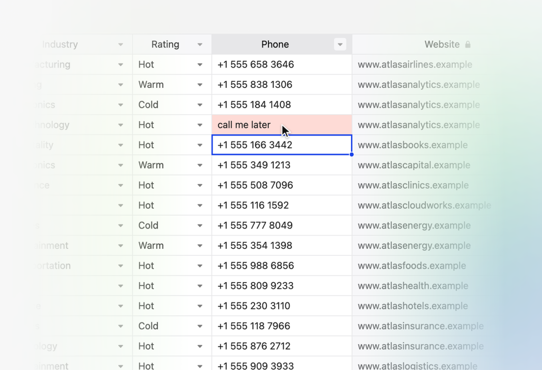 A phone number cell flagged as invalid in the grid, next to the locked Website column